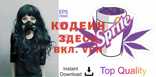 ГАЛЛЮЦИНОГЕННЫЕ ГРИБЫ Лагань