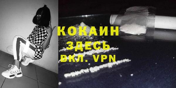 ГАЛЛЮЦИНОГЕННЫЕ ГРИБЫ Лагань