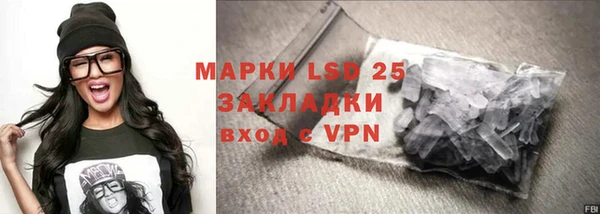 ГАЛЛЮЦИНОГЕННЫЕ ГРИБЫ Лагань