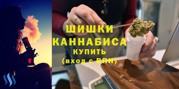 ГАЛЛЮЦИНОГЕННЫЕ ГРИБЫ Лагань