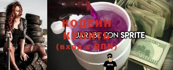 ГАЛЛЮЦИНОГЕННЫЕ ГРИБЫ Лагань