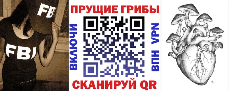 Псилоцибиновые грибы прущие грибы  Курильск 